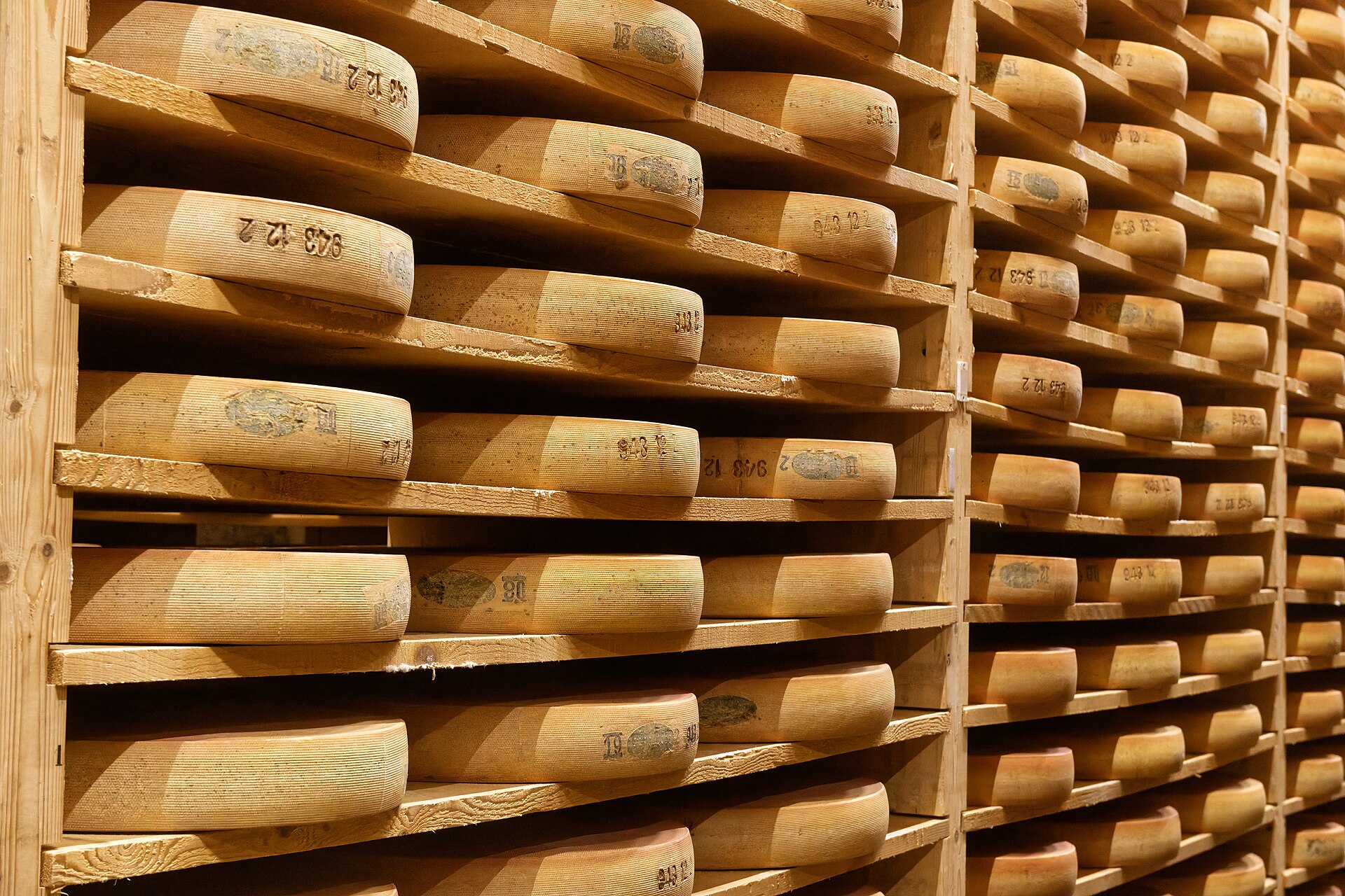 Forme di formaggio in stagionatura sulle assi di legno in cantina
