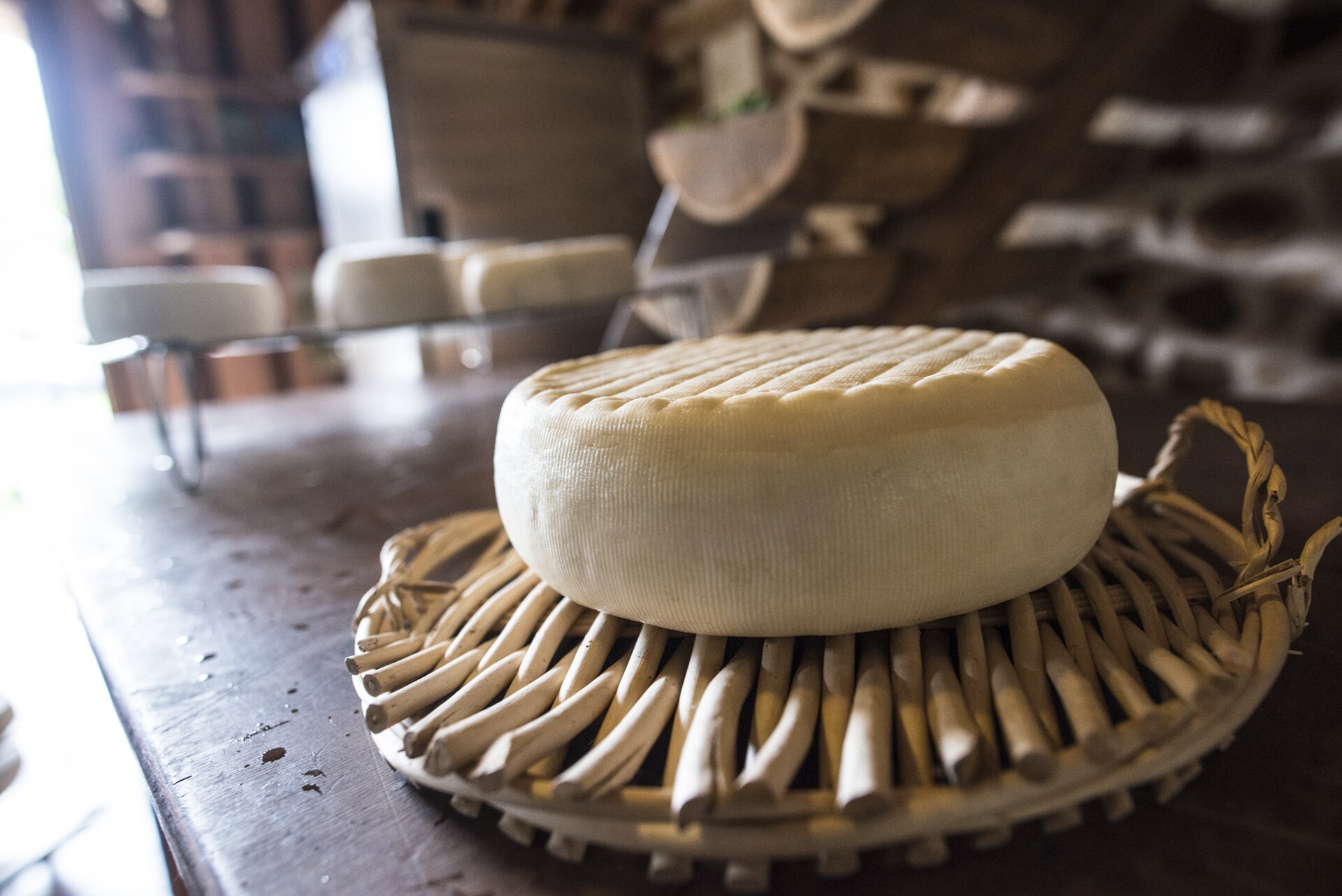 Tome di capra stagionata, crosta naturale e pasta compatta